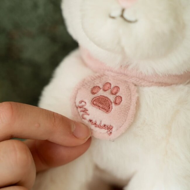 Knuffelkat Marley In Tas