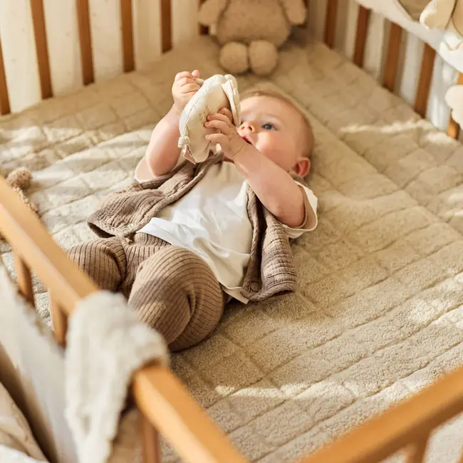 Rammelaar Elephant Tales