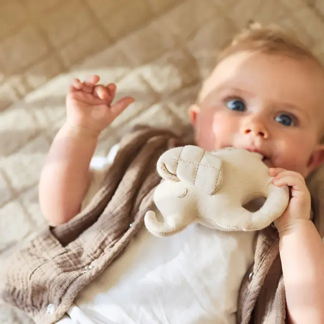 Rammelaar Elephant Tales