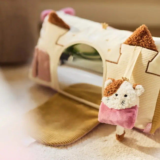 Activiteiten Driehoek Flower Fairies