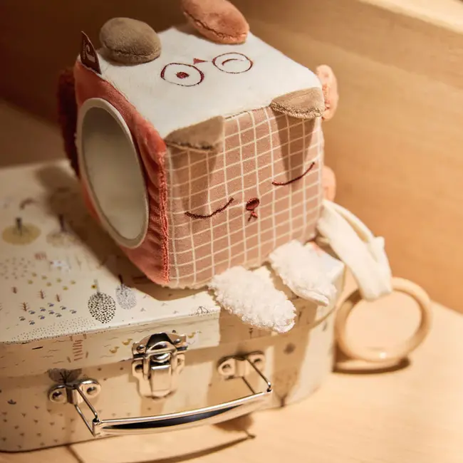 Activiteitenkubus Animal Friends