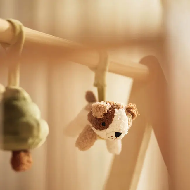 Babygym Speeltjes Tiny Park