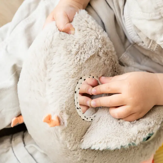 Hide & Seek Acitiviteiten Speeltje Clucky Sand