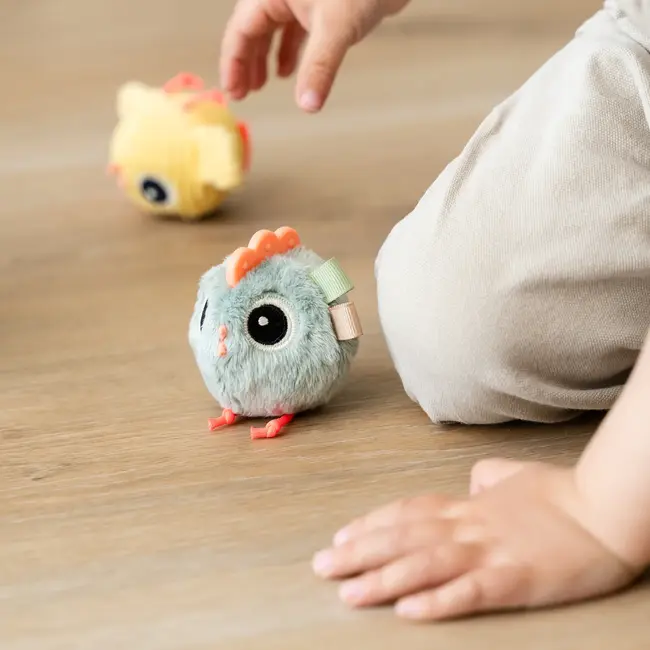 Hide & Seek Acitiviteiten Speeltje Clucky Sand