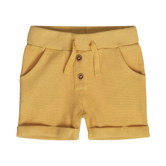 Dirkje Short Paradise Camel
