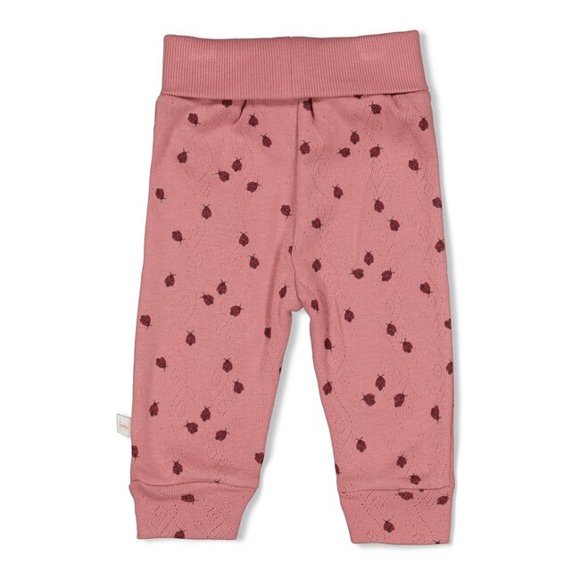 Broek Ajour Rib AOP Ladybug Roze