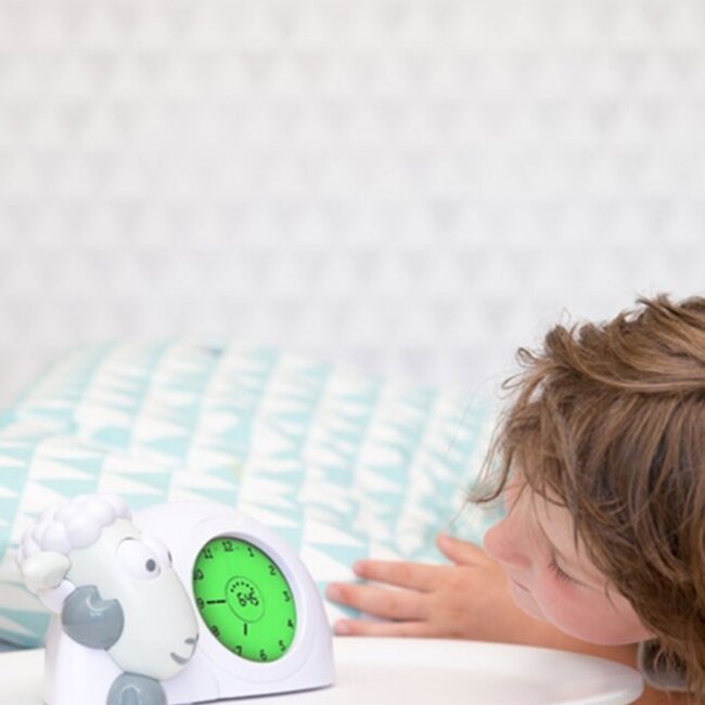 Slaaptrainer Sam Het Schaap Grijs