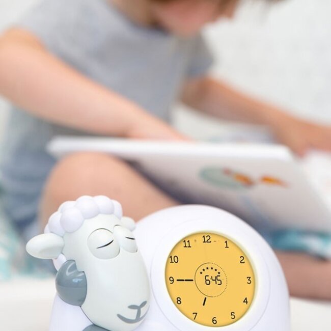 Slaaptrainer Sam Het Schaap Grijs