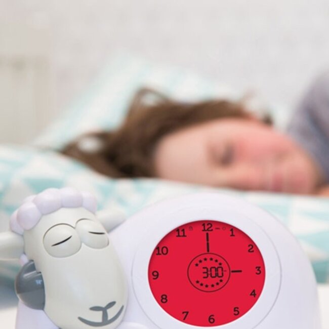 Slaaptrainer Sam Het Schaap Grijs