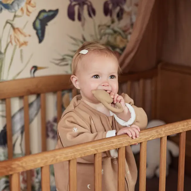 Bijtring Rubber Teddy Bear Biscuit