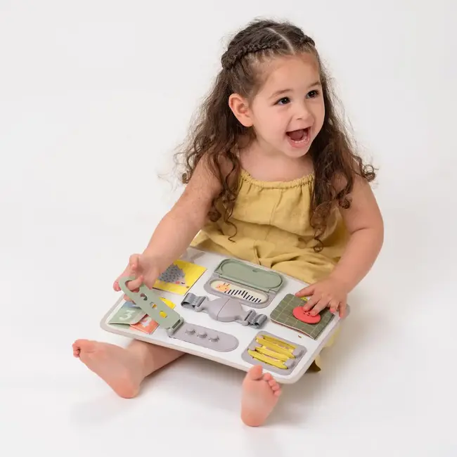 Activity Buckles Board