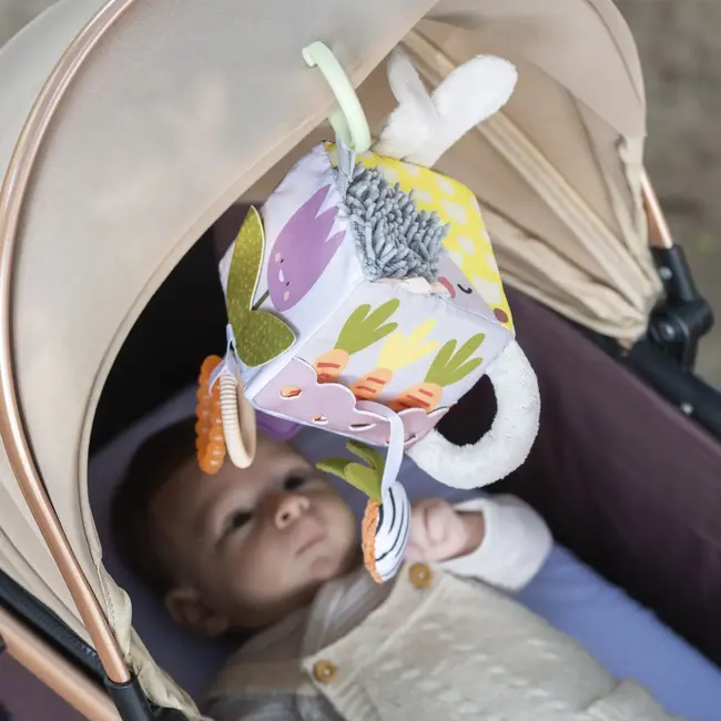 Urban Garden Activiteitenkubus