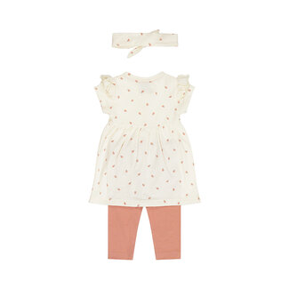 Dirkje Driedelige Set Ladybug Off-White