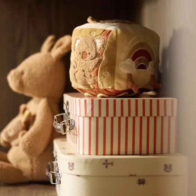 Activiteitenkubus Kangaroots