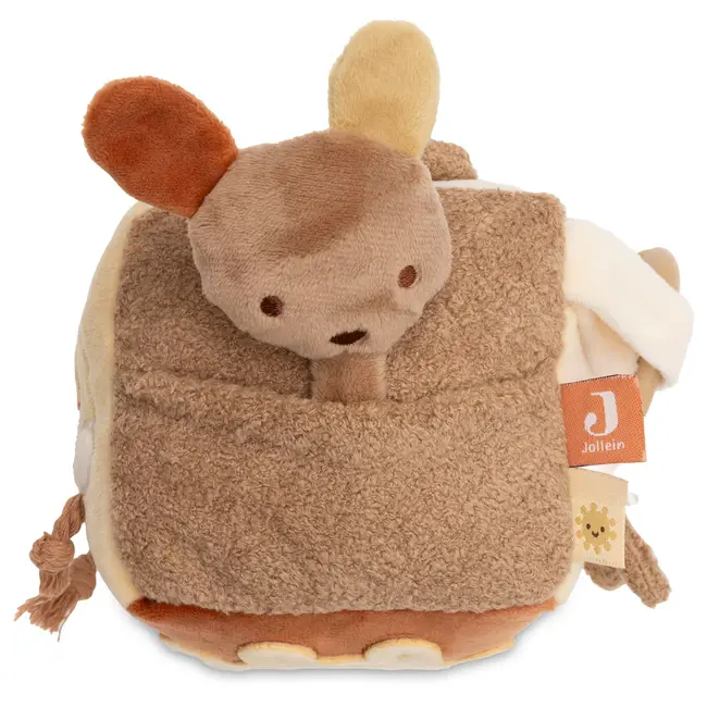 Activiteitenkubus Kangaroots