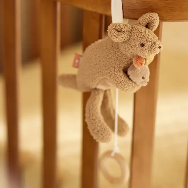 Muziekhanger Kangaroots