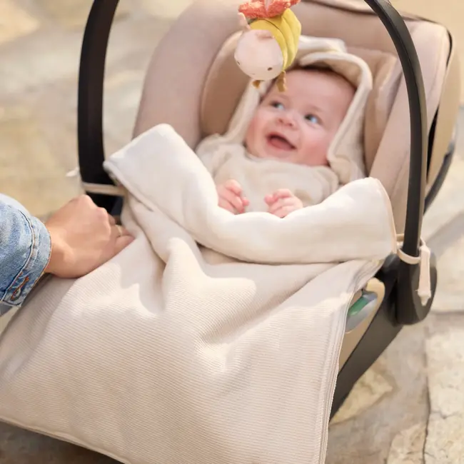 Wagenhanger Pretty Picnic Bee