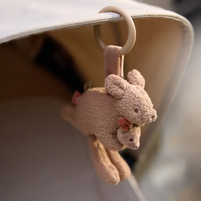 Wagenhanger Kangaroots