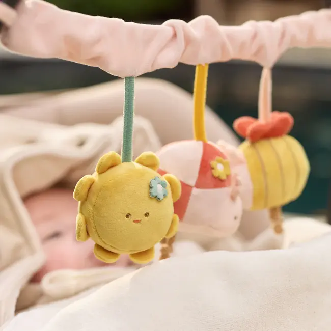 Wagenspanner Pretty Picnic