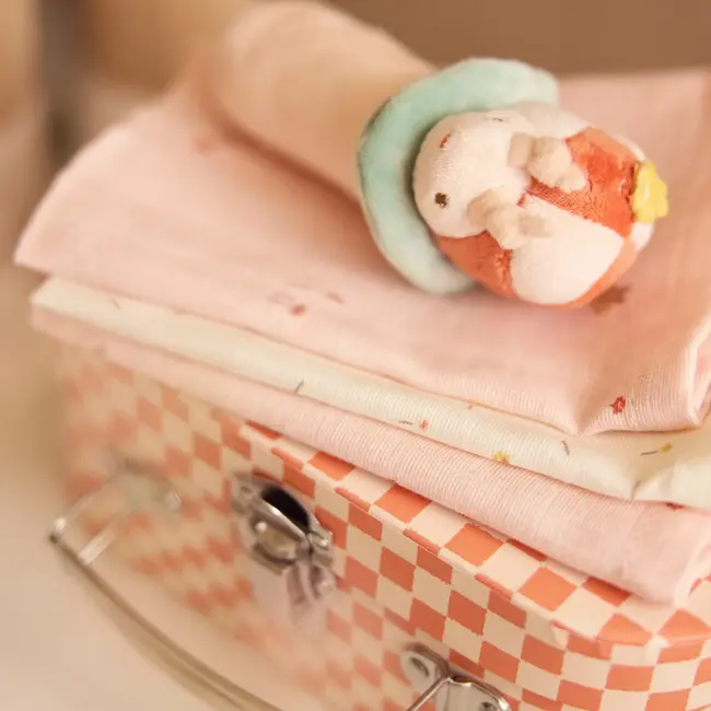 Rammelaar Pretty Picnic Ladybug