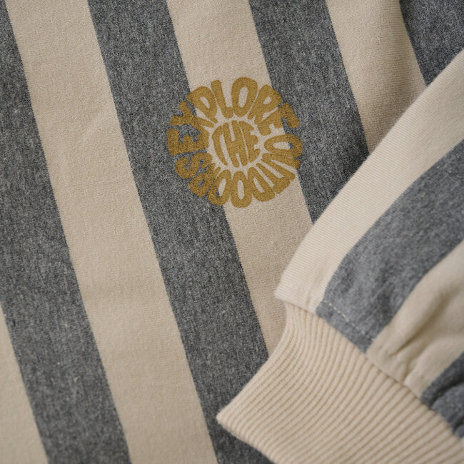 Oversized Sweater Stripe Sandshell