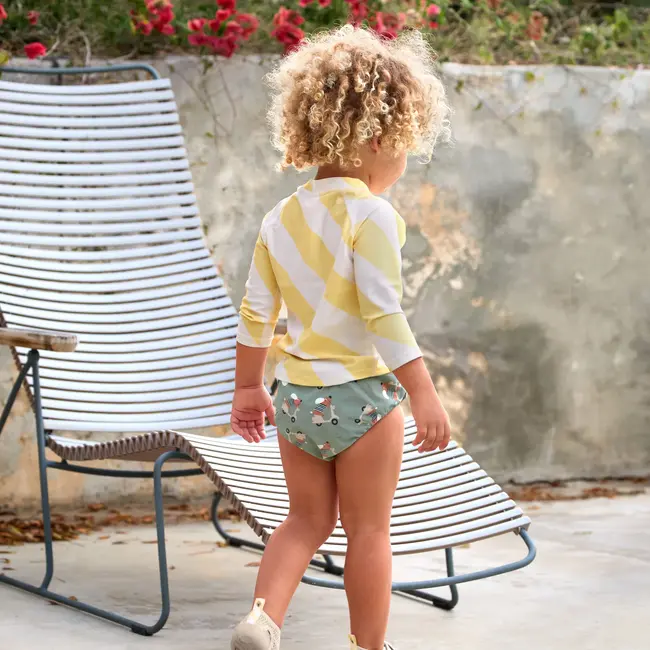 Zwemluier Scooter/Dog Green