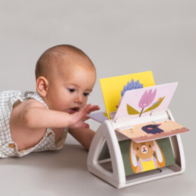 Tummy-Time Spinning Book