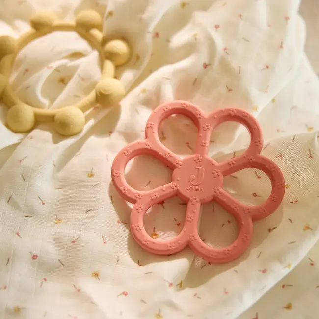 Bijtring Siliconen Flower Coral Rose