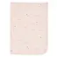 Deken Wieg Jersey 75x100cm Pretty Picnic Met Naam