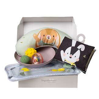 Taf Toys Tummy-Time Essentials Cadeauset