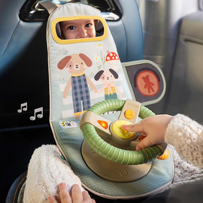 Drive & Discover Travel Toy