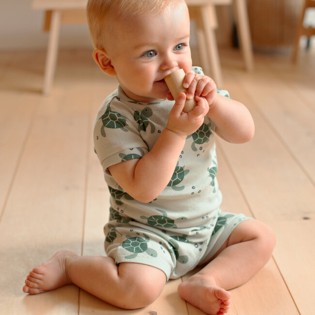 Pyjama Timmy Turtle Mint