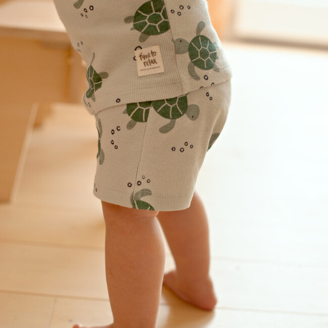 Pyjama Timmy Turtle Mint