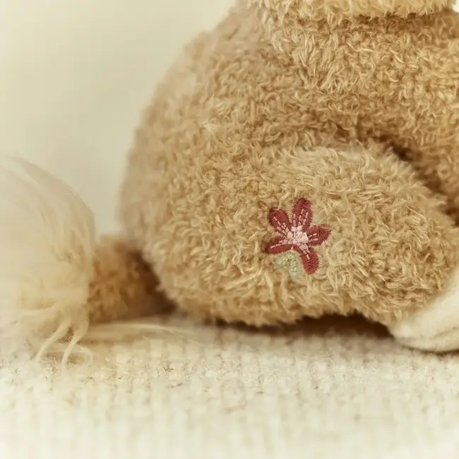 Knuffel Leeuwin Safari Friends 17cm