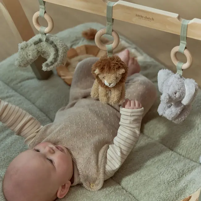 Babygym Safari Friends