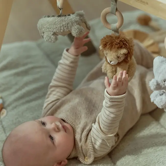 Babygym Safari Friends