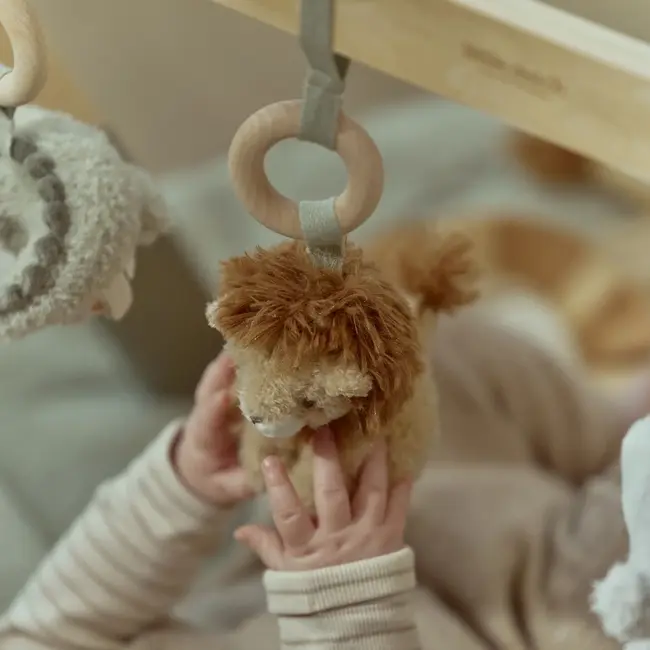 Babygym Safari Friends
