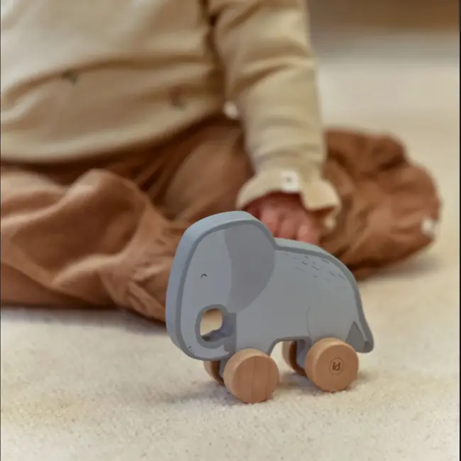 Houten Giftset Safari Friends