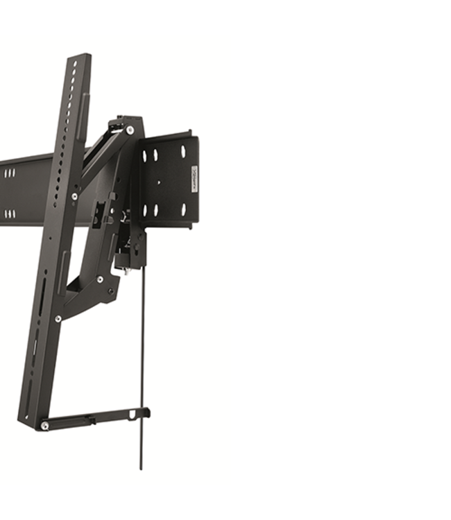 Vogel's Professional PFW 6810