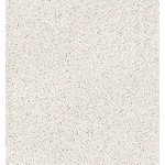 Porcelanosa Porcelanosa Treviso blanco matt L vloertegel 120x120 - 100310881