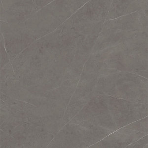 XTone Liem grey polished 150 x 300 cm