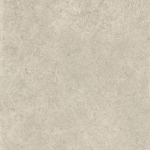 Mirage Elysian EY02 desert stone naturale vloertegel 60x120cm