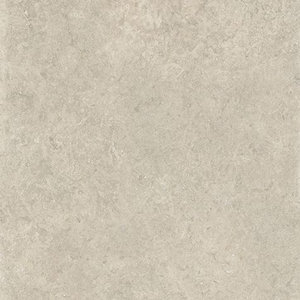 Mirage Elysian EY02 desert stone spazzolata vloertegel 80x80 cm
