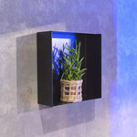 LoooX LoooX Colour Box inbouwnis 30x30x10cm Geborsteld RVS