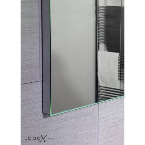 LoooX LoooX Mirror spiegel 100x60cm met verlichting en verwarming