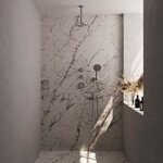 Brauer Brushed Edition Regendoucheset inbouw | Geborsteld RVS | Ronde Handdouche | 20 cm | Plafondbuis | Nee Brauer Brauer Brushed Edition Regendoucheset inbouw | Geborsteld RVS | Ronde Handdouche | 20 cm | Plafondbuis | Nee