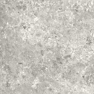 Terratinta Ceppo light grey matt 120x120cm