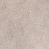 Porcelanosa Savannah | 120x120 cm | Topo Antislip