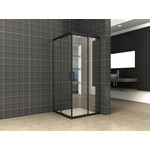 Wiesbaden Skyline hoekinstap met 2 schuifdeuren 80x80cm | Mat zwart | 8mm NANO Wiesbaden Wiesbaden Skyline hoekinstap met 2 schuifdeuren 80x80cm | Mat zwart | 8mm NANO