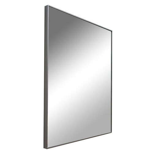 Xellanz Xellanz Fina spiegel rechthoek met lijst 50 x 60 x 2.1 cm aluminium